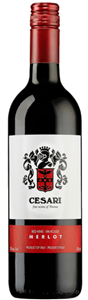 Casa Vinicola Gerardo Cesari delle Venezie  Merlot 2008